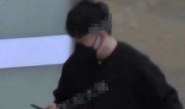 刘大锤最新爆料辛芷蕾