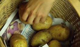 网友爆料土豆生芽视频