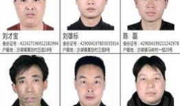 新闻爆料诈骗怎么举报他,携手举报，共筑安全防线