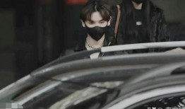 车内新瓜最新爆料,揭秘明星隐私生活幕后真相