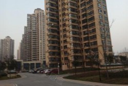 西安杜永村最新爆料,揭秘背后惊人真相