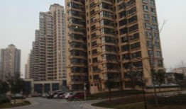 西安杜永村最新爆料,揭秘背后惊人真相