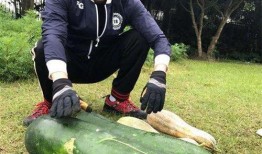 德宏大瓜爆料视频,宏大瓜视频内容深度解析