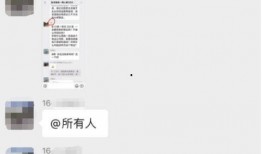 青州网红吃瓜群微信群号,微信群号背后的故事与魅力
