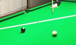 台球爆料出杆视频,揭秘精湛技巧与精准打击