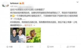 圈内爆料往事百度云,圈内爆料往事背后的真相与内幕