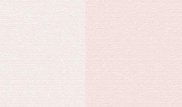 网红吃瓜聊天背景图女孩,揭秘网络红人的幕后生活