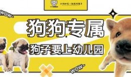狗子今日爆料最新消息图片,最新热辣图片揭秘幕后真相
