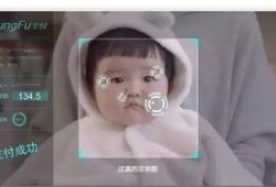 爆料马云美女视频大全集,揭秘商业巨头背后的故事