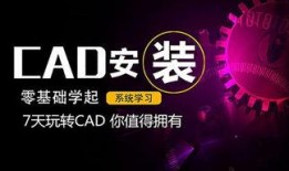 蛋仔爆料建模视频教程完整版,从入门到精通的完整攻略