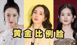 大脸娱乐爆料,揭秘娱乐圈最新热点事件