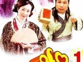 乘龙怪婿昭君爆料视频,揭秘剧情背后惊人真相！