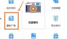 最新爆料小程序,小程序背后的秘密与未来趋势
