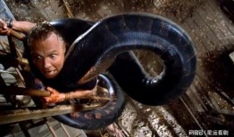 狂蟒之灾爆料视频大全集