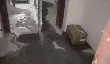 网友爆料瑞安视频播放,网友爆料背后的真相揭秘