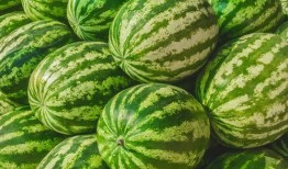 哪里可以吃免费的瓜,揭秘全国瓜果免费品尝地