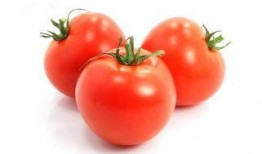 番茄猛料爆料方法视频,轻松掌握视频爆料技巧