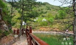 邯郸花溪谷最新爆料信息,揭秘隐秘仙境，探寻自然奇观！