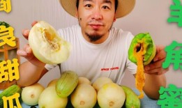 微信网红吃瓜群众,揭秘微信网红圈背后的故事