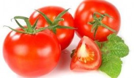 番茄猛料爆料方法视频,轻松掌握视频爆料技巧