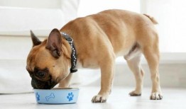 狗子新皮肤爆料视频,炫酷特效引粉丝热议！