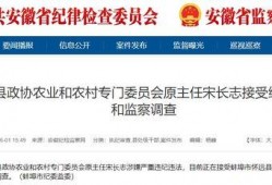 安徽怀远爆料最新新闻视频,视频揭示惊人事件，详情即将揭晓