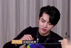 天涯爆料李灿森视频,天涯爆料背后的真相与争议