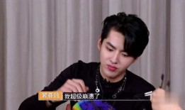 天涯爆料李灿森视频,天涯爆料背后的真相与争议