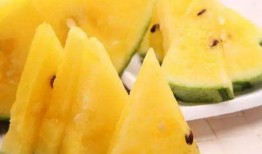 哪里可以吃免费的瓜,揭秘全国瓜果免费品尝地