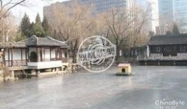 爆料张艺谋卖豪宅视频,揭秘导演巨额房产交易背后的故事