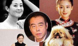 倪萍爆料陈凯歌视频播放,真相令人震惊！