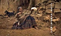 渔女角色故事视频爆料,揭秘神秘角色背后的感人故事