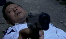 寻枪在线观看,在线重温经典悬疑剧情