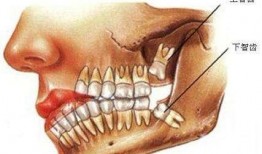 爆料小孩长智齿视频,萌态可掬引网友热议