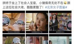 吃瓜猪娱乐视频,揭秘娱乐圈幕后故事