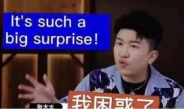 天禄小胖爆料视频大全,揭秘幕后真相与趣味瞬间