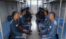 罚罪最新爆料视频大全集,揭秘剧情高潮与角色命运转折