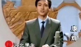 央视爆料辛吉飞视频下载,揭秘网络传播背后的真相