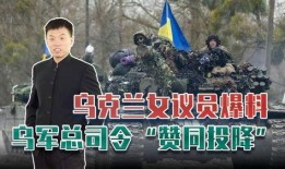 俄乌战争的最新爆料视频,揭秘战场真实情况与冲突升级背后的真相