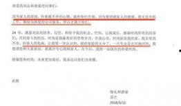 爆料娱乐圈的人脉王,揭秘幕后操控者的人脉帝国