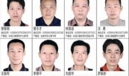 新闻爆料诈骗怎么举报他,携手举报，共筑安全防线
