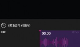 网红达人爆料视频大全,揭秘幕后真相与热门话题