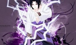 佐助早期爆料视频大全下载,揭秘忍者世界的秘密与成长历程