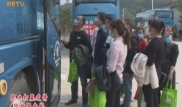 博白班车最新爆料,揭秘神秘路线与乘客真实体验