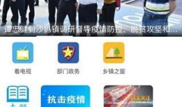 阳西新闻爆料号码,揭秘神秘号码背后的故事