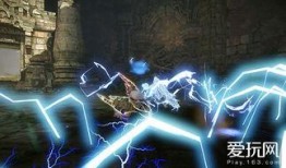 野生麒麟爆料视频大全,揭秘野生麒麟神秘爆料视频大全