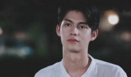 爆料王力宏的小曾视频在线观看,一场音乐与情感的碰撞