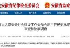 大皖新闻爆料最新消息,重大事件引发社会关注