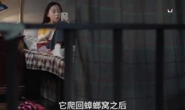 小朋友的爆料视频在线观看,爆笑爆料视频幕后趣事