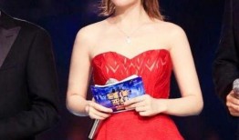 谢娜爆料何炅戴假发视频,揭秘明星造型背后的秘密